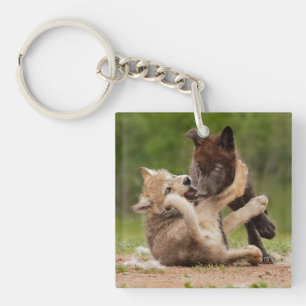 Grijze Wolvenwelpen Worstelen Sleutelhanger