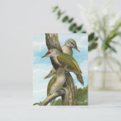 Grijze Woodpecker Briefkaart (Staand voorkant)