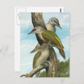 Grijze Woodpecker Briefkaart (Voorkant / Achterkant)