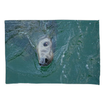 Grijze zeehond op missie