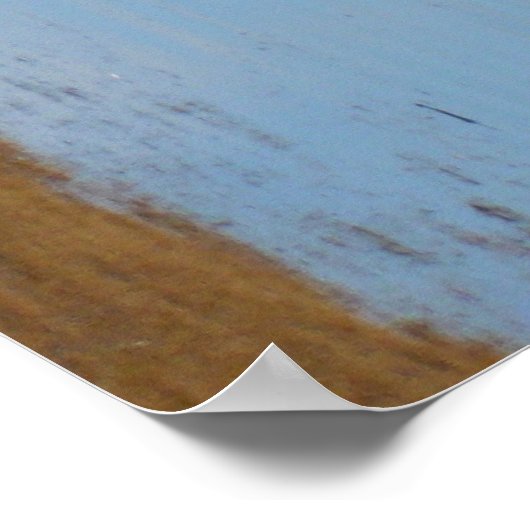 Grijze zeevogel links poster (Hoek)