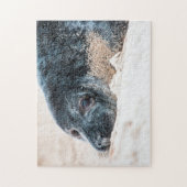 Grijze zegel in het zand, Jigzaag Puzzle Legpuzzel (Verticaal)