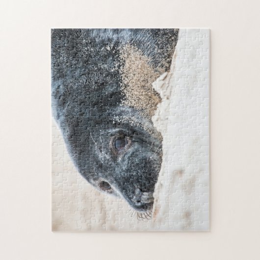 Grijze zegel in het zand, Jigzaag Puzzle Legpuzzel (Verticaal)