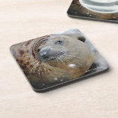 Grijze zegel op ijs bier onderzetter (Linkerzijde)