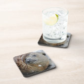 Grijze zegel op ijs bier onderzetter (Rechterzijde)
