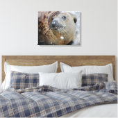 Grijze zegel op ijs canvas afdruk (Insitu (Slaapkamer))