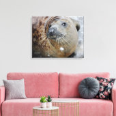 Grijze zegel op ijs canvas afdruk (Insitu (Woonkamer))