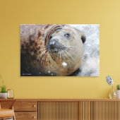 Grijze zegel op ijs canvas afdruk (Insitu (Woonkamer))