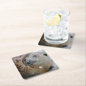 Grijze zegel op ijs kartonnen onderzetters (Insitu)