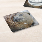 Grijze zegel op ijs kartonnen onderzetters (Schuin)