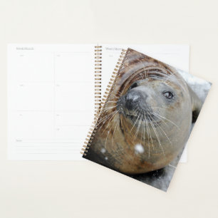 Grijze zegel op ijs planner