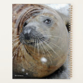 Grijze zegel op ijs planner (Achterkant)