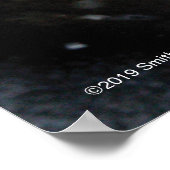 Grijze zegel op ijs poster (Hoek)