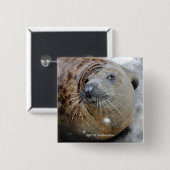 Grijze zegel op ijs vierkante button 5,1 cm (Voorkant /achterkant)