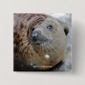 Grijze zegel op ijs vierkante button 5,1 cm (Voorkant)