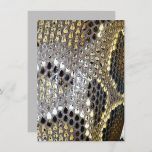 grijze zwarte beige dierlijk patroon, slangendruk bedankkaart (Voorkant / Achterkant)