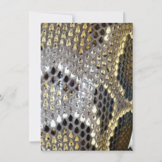 grijze zwarte beige dierlijk patroon, slangendruk bedankkaart (Voorkant)