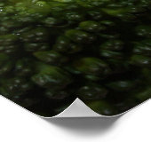 Grilled Filet Mignon Poster (Hoek)