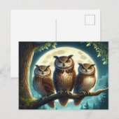 grillig uil trio briefkaart (Voorkant / Achterkant)