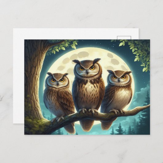 grillig uil trio briefkaart (Voorkant / Achterkant)