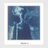 grillige Blue Bubba Kat Fotografie Sticker (Vel)