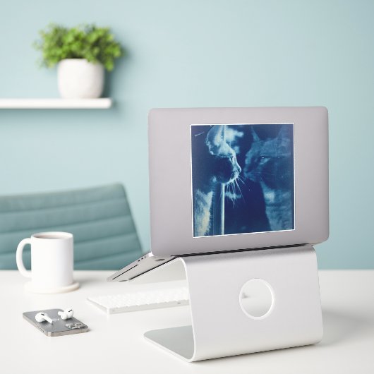 grillige Blue Bubba Kat Fotografie Sticker (Laptop op bureau)