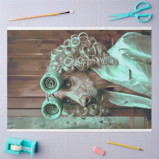 grillige geklede vogel hond decoupage tissuepapier (Craft)