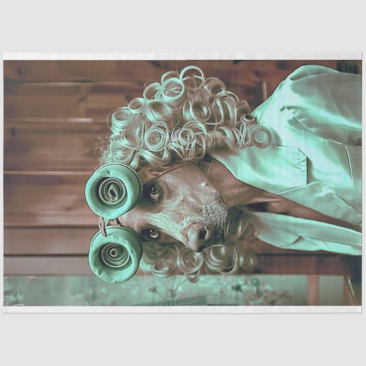 grillige geklede vogel hond decoupage tissuepapier (Voorkant)