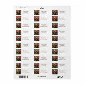 Grillige Kosmische Slak & Paddenstoelentuin Etiket (Full Sheet)