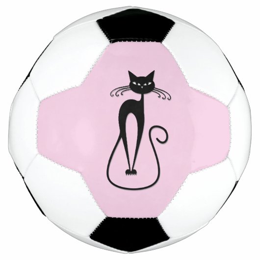Grillige magere zwarte kat roze voetbal (Voorkant)