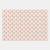 grillige notenkraker geschenkverpakking inpakpapier vel (Voorkant 2)