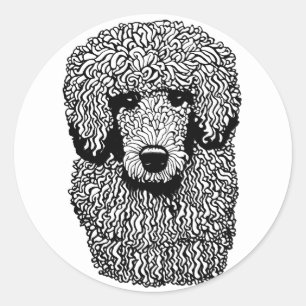 grillige poedel hond hoofd dieren huisdieren kunst ronde sticker