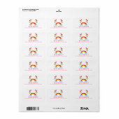 Grillige Rainbow & Fun Balloons Adresetiketten Etiket (Full Sheet)
