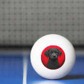 Grillige Zwarte Hond Pingpongbal (Net)
