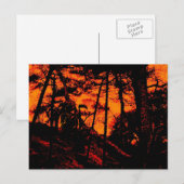 Grim Reaper in Scary Oranje Lit Forest Briefkaart (Voorkant / Achterkant)