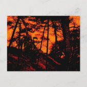 Grim Reaper in Scary Oranje Lit Forest Briefkaart (Voorkant)