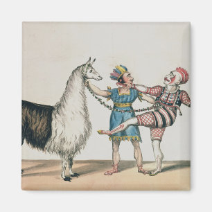 Grimaldi en de Alpaca in het Populaire Pantomime Magneet