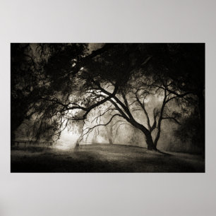 GRIMM'S FOREST Poster