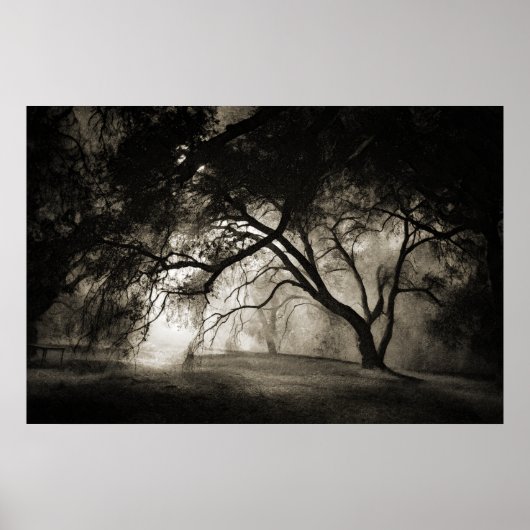 GRIMM'S FOREST Poster (Voorkant)