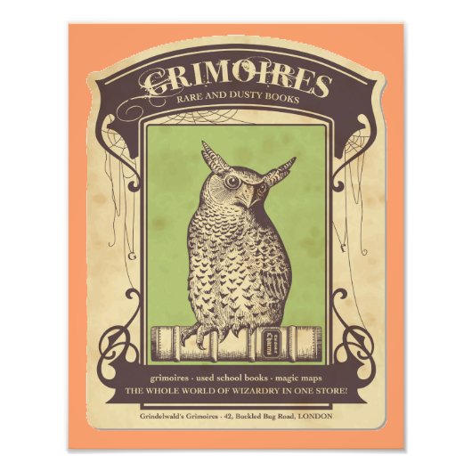 Grimoires Owl Photo Print Foto Afdruk (Voorkant)