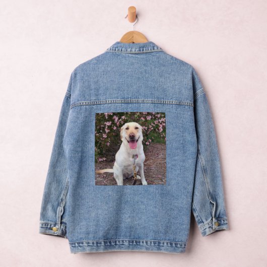 Grin Denim Jacket (Hangar)