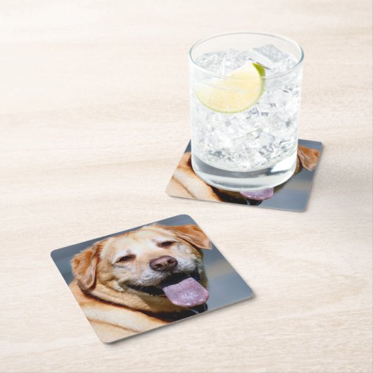 Grin Kartonnen Onderzetters (Insitu)