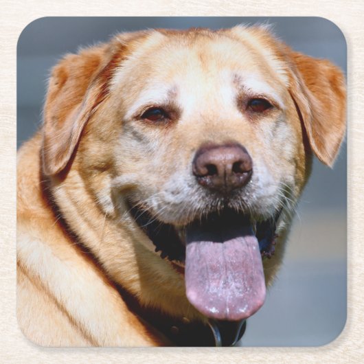 Grin Kartonnen Onderzetters (Voorkant)