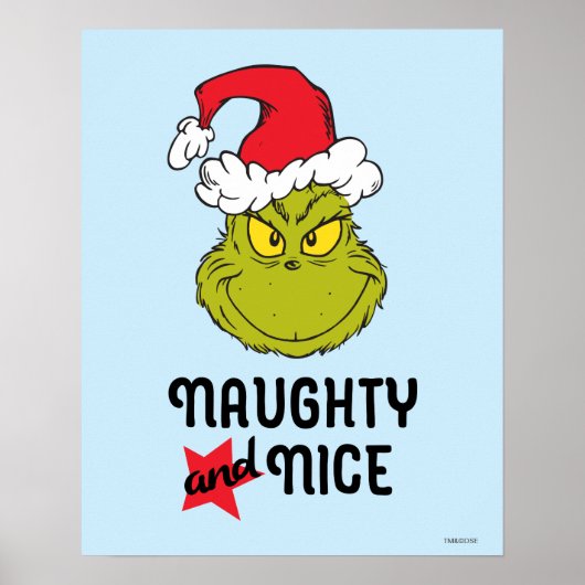 Grinch | Naughty & Nice Poster (Voorkant)