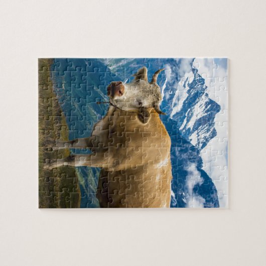 Grindelwald Cow - Bernese Alps - Zwitserland Legpuzzel (Horizontaal)