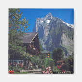 Grindelwald, regio Jungfrau Magneet (Voorkant)