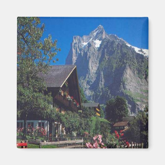 Grindelwald, regio Jungfrau Magneet (Voorkant)