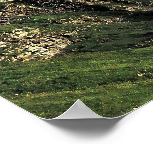 Grindelwald Valley Poster (Hoek)