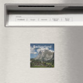 Grindelwald Zwitserland Magnet Travel Souvenir (Insitu (Vaatwasser))