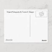 Grindstone and Anchor in Harbor Beach, MI Briefkaa Briefkaart (Achterkant)